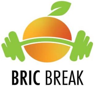 bric break logo