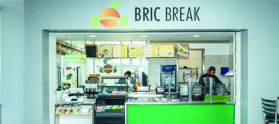 BRIC Break